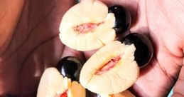 Ackee
