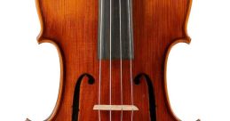 Viola