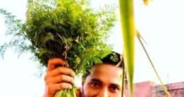 Mayank sharma