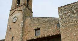 Michele Spoleto