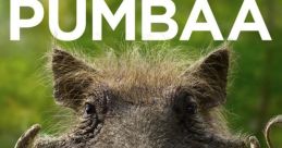 Pumba cafew