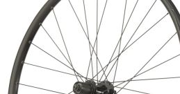 Alex' Bdr (Wheel_)