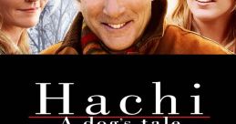Hachi