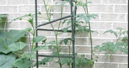 Ultomato