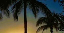 RichHypnotherapy