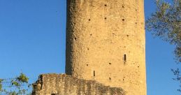Aurignac muriel
