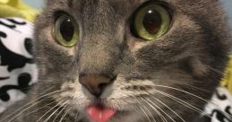 Bleping