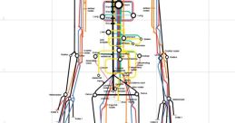 Body Tube
