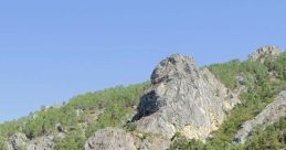 Valdevan Eloy De Gois