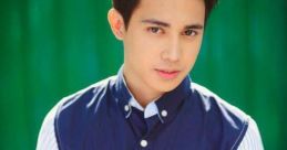 Andrepogi