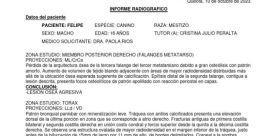 Felipejulio