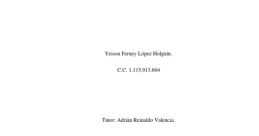 JEISSON FERNEY LOPEZ HERNANDEZ