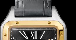 K7766N Santos