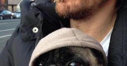 Pug Man