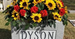Leslie Dyson