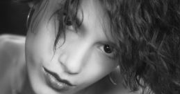 Ivette F.