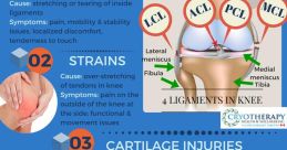 Injury