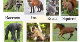 Mammals uirrels are known for their versatility in communication, using a variety of to convey different messages. One of