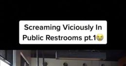 Screaming in public restrooms prank