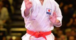 Puñetazo3-karate-19-06