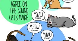 Animales-sonido-gato