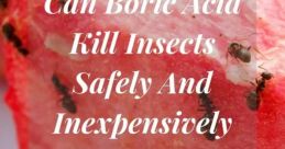 Abi killing pests