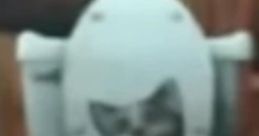 SKIBIDI CAT