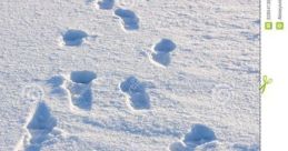 Low Creaky Footsteps