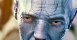 Shrek "Why are you following me?"