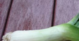 LEEK