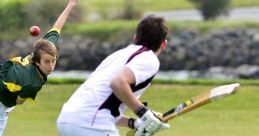 Cricket Play and download Cricket clips. #no comment #crickets #shrugs #idk #meh #dont know