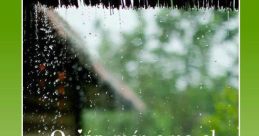 Amo el sonido de la lluvia