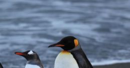 Penguins