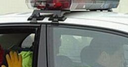 Funniest Arrest