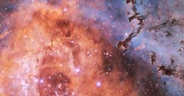 Cosmos