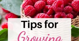 Deflating Raspberry