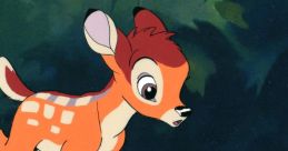 Animation