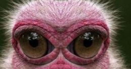 Ich bin Wach