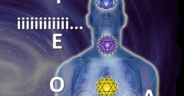 Luz Calor Som