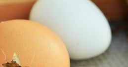 The eggs are hatching!