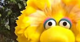 Big Bird