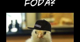 Se fodaaa