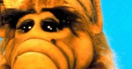 ALF