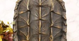 Turtle Shell Spinning