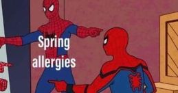 Spiderman Meme