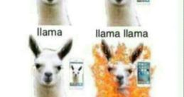 PEDOO jajjajajaj