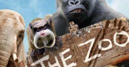 Animals TV