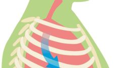 BREATHE AIR! "BREATHE AIR!" The phrase seems to echo through the cavernous expanse of a vast, open space. The words