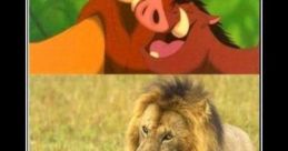 The Lion King Meme