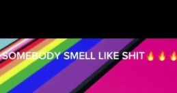 Somebody Smell Like Shi (louder)